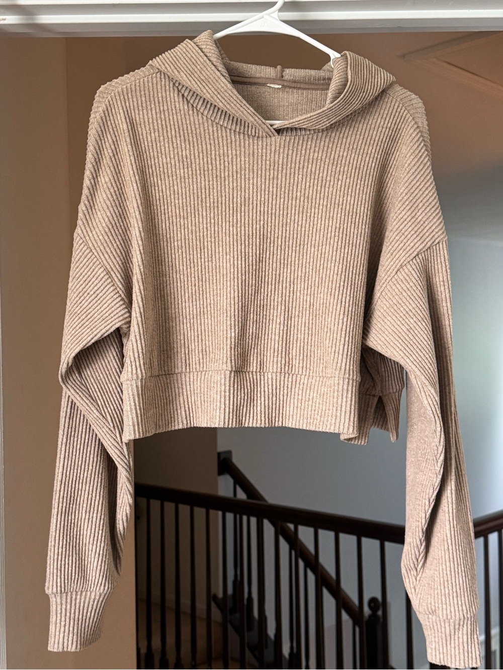ALO Yoga Ribbed Cropped Hoodie in Taupe